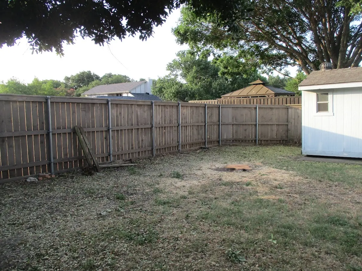 Cleared yard after professional tree removal in La Loma